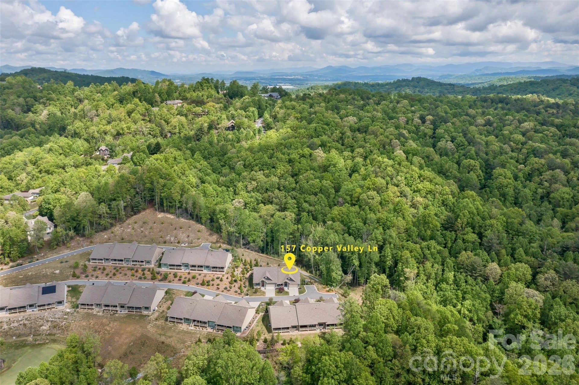 157 Copper Valley Lane - Photo 3