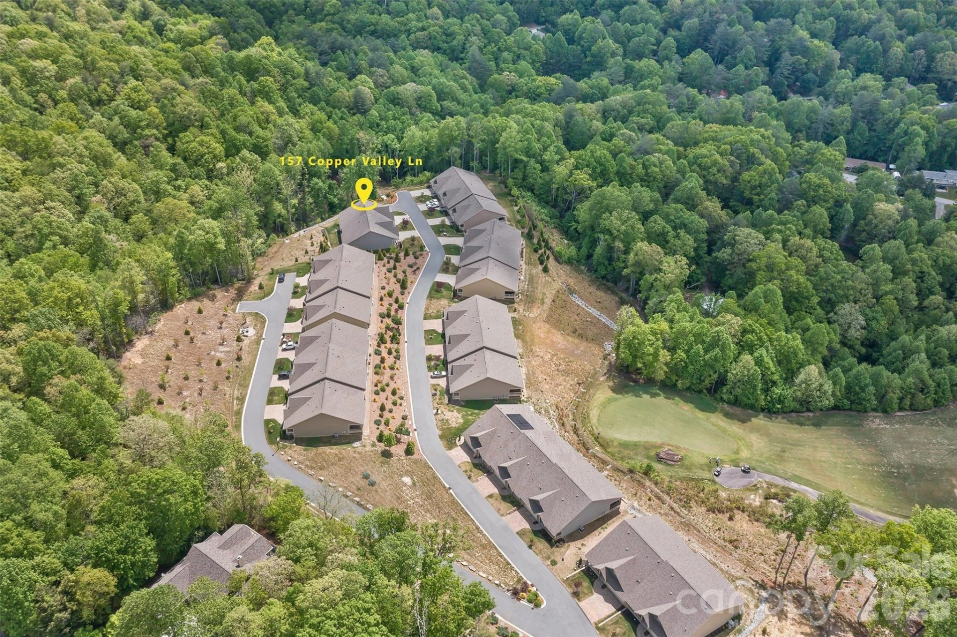 157 Copper Valley Lane - Photo 4