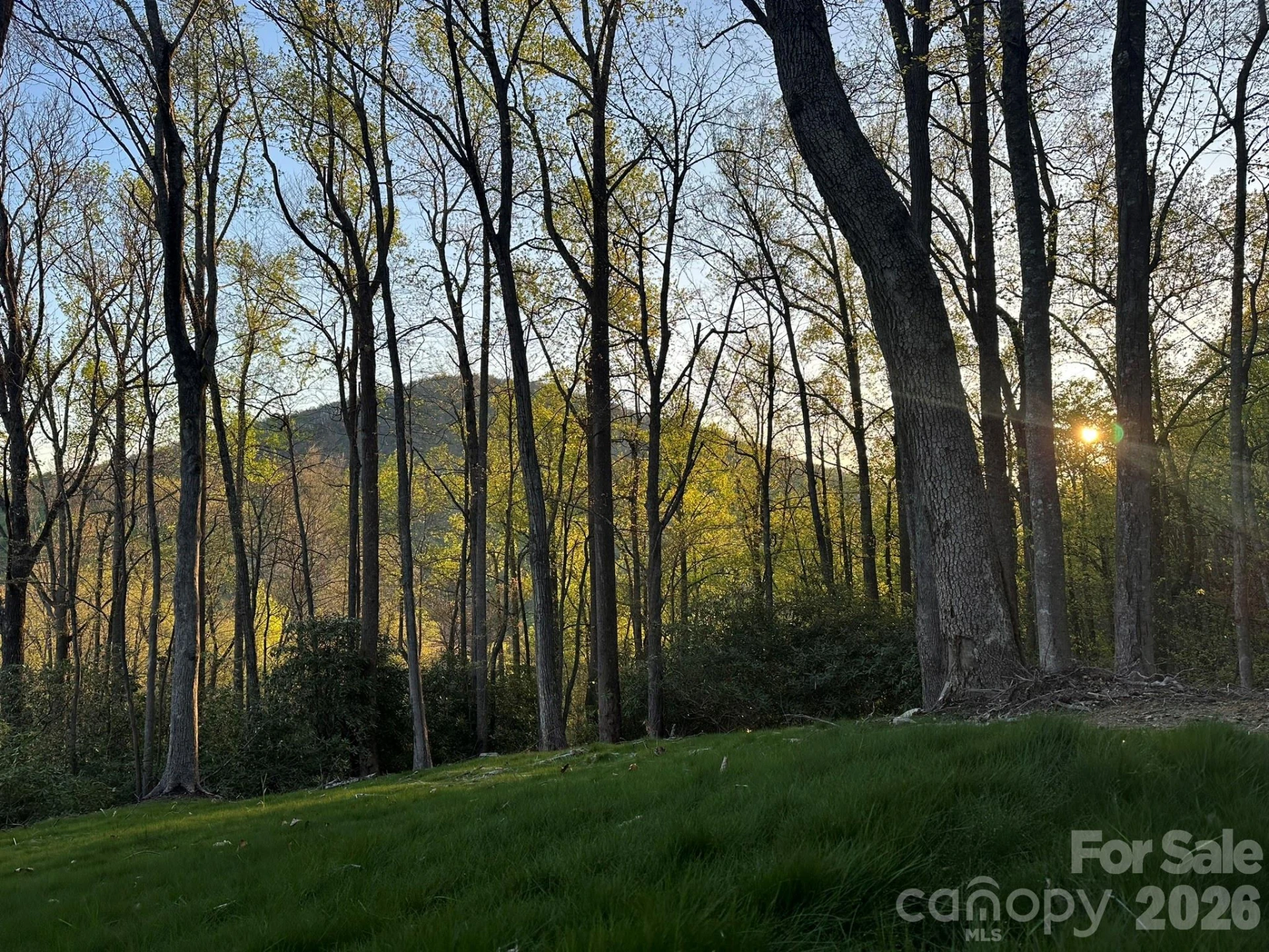000 Hemlock Grove Trail #51 - Photo 3
