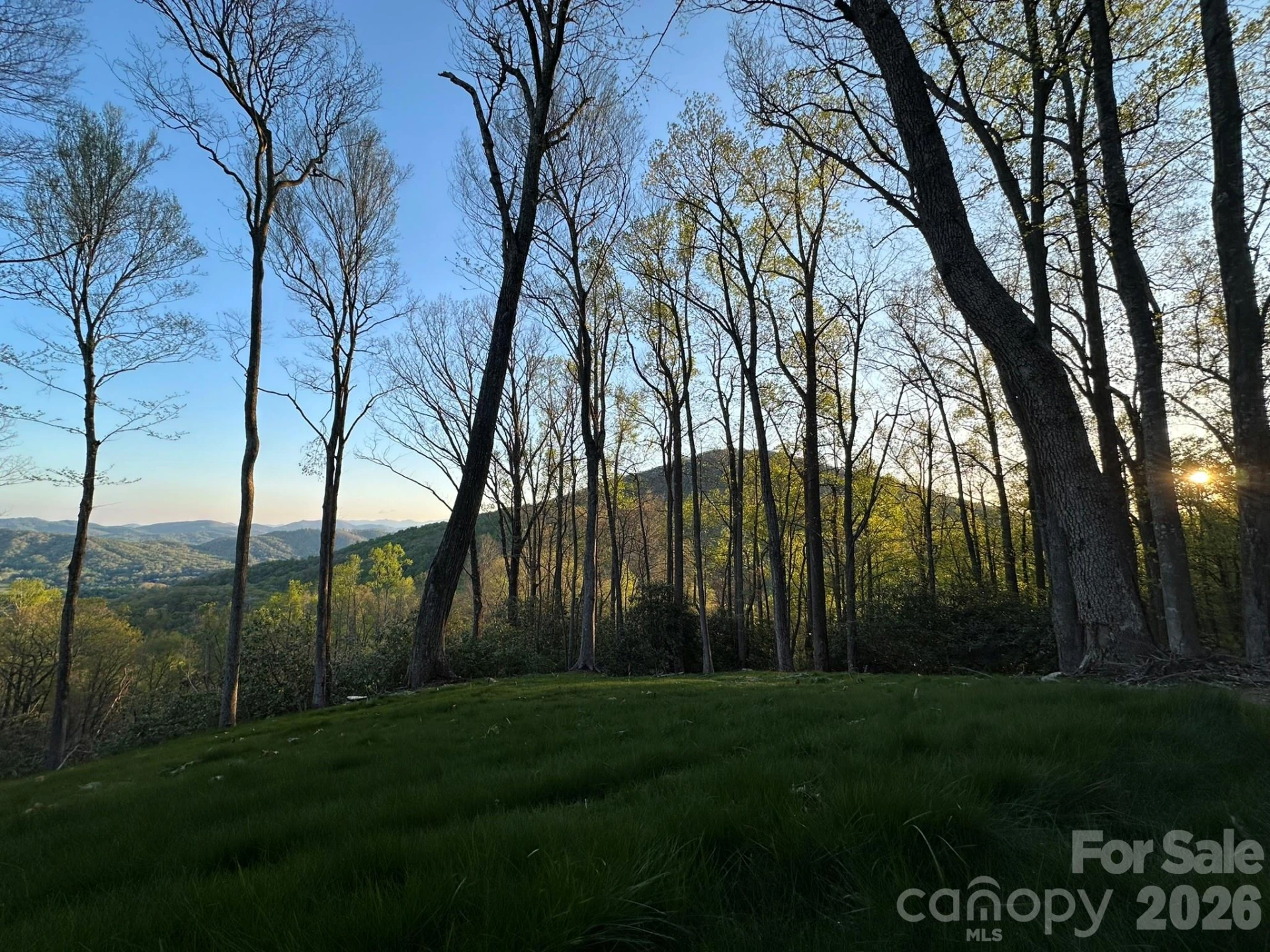 000 Hemlock Grove Trail #51 - Photo 4