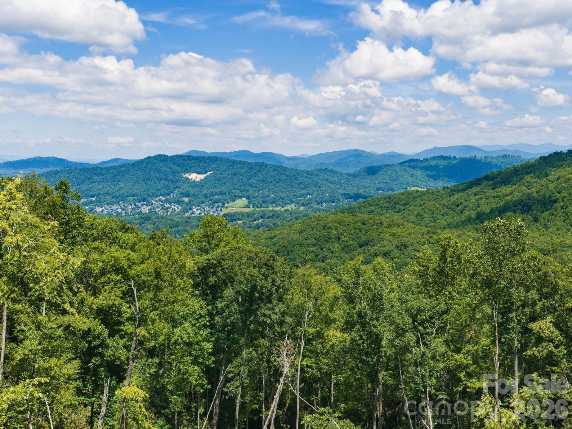 000 Hemlock Grove Trail #51 - Photo 7