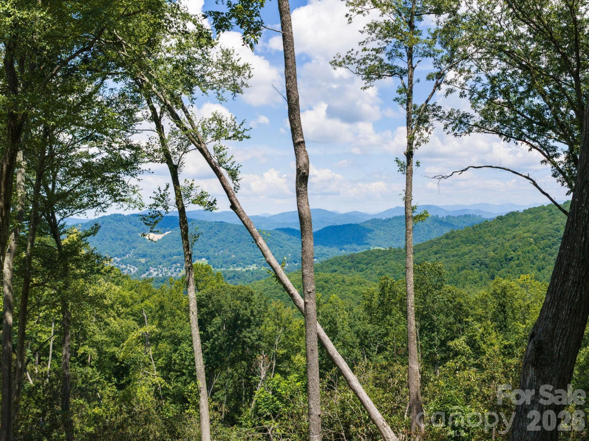 000 Hemlock Grove Trail #51 - Photo 8