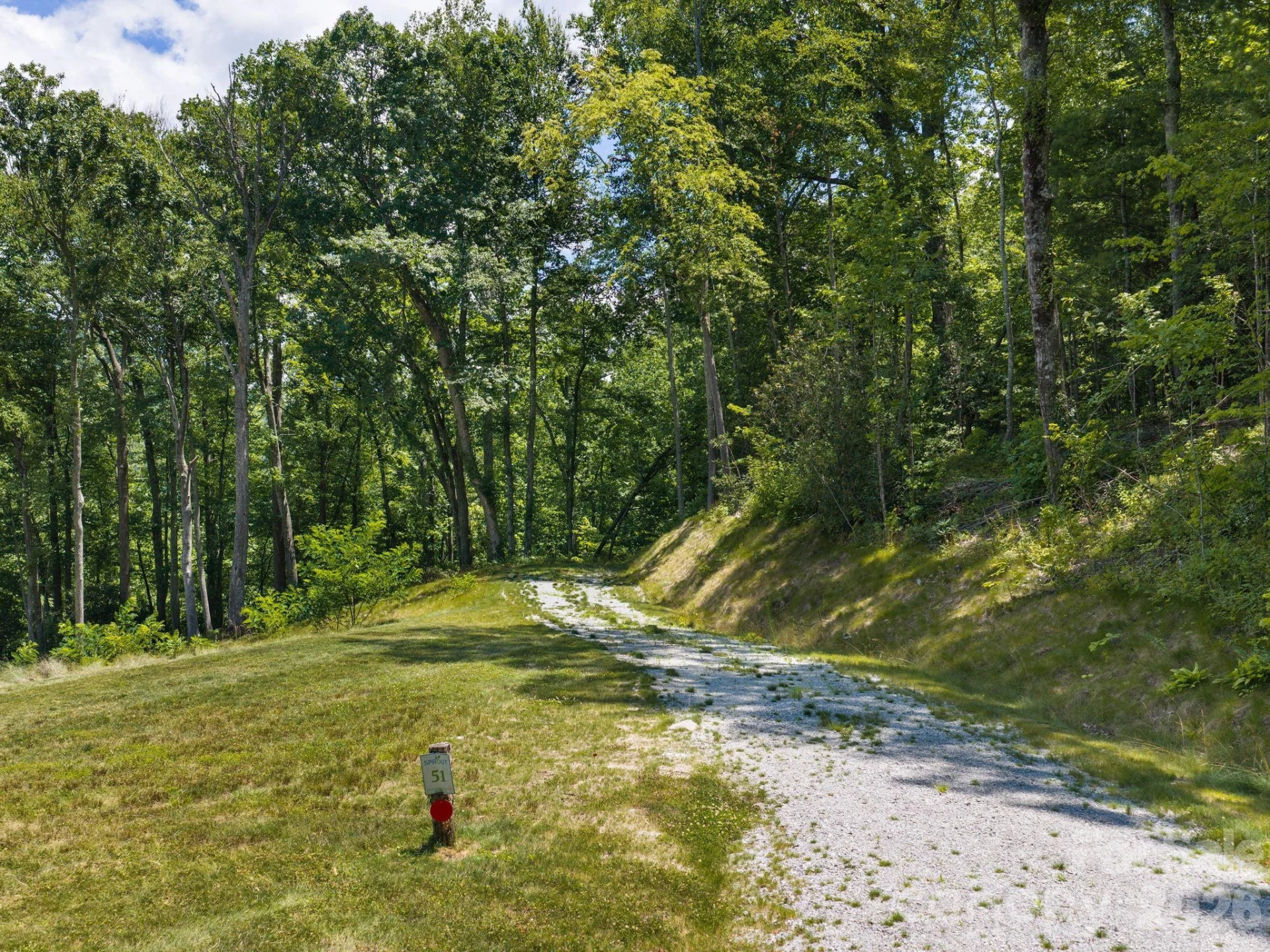000 Hemlock Grove Trail #51 - Photo 9
