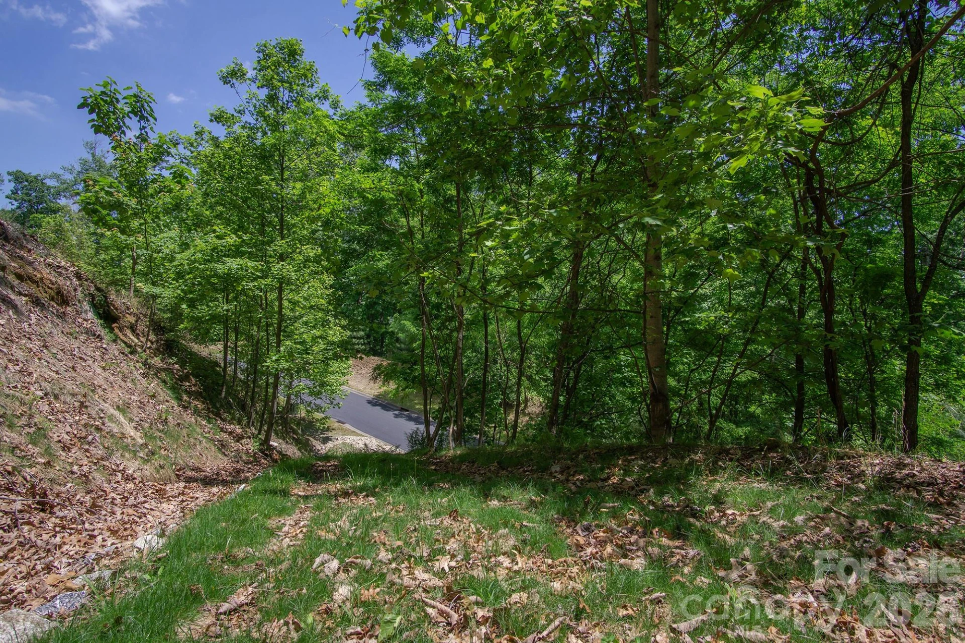 lot 53R Mills River Way #Lot 53R - Photo 2
