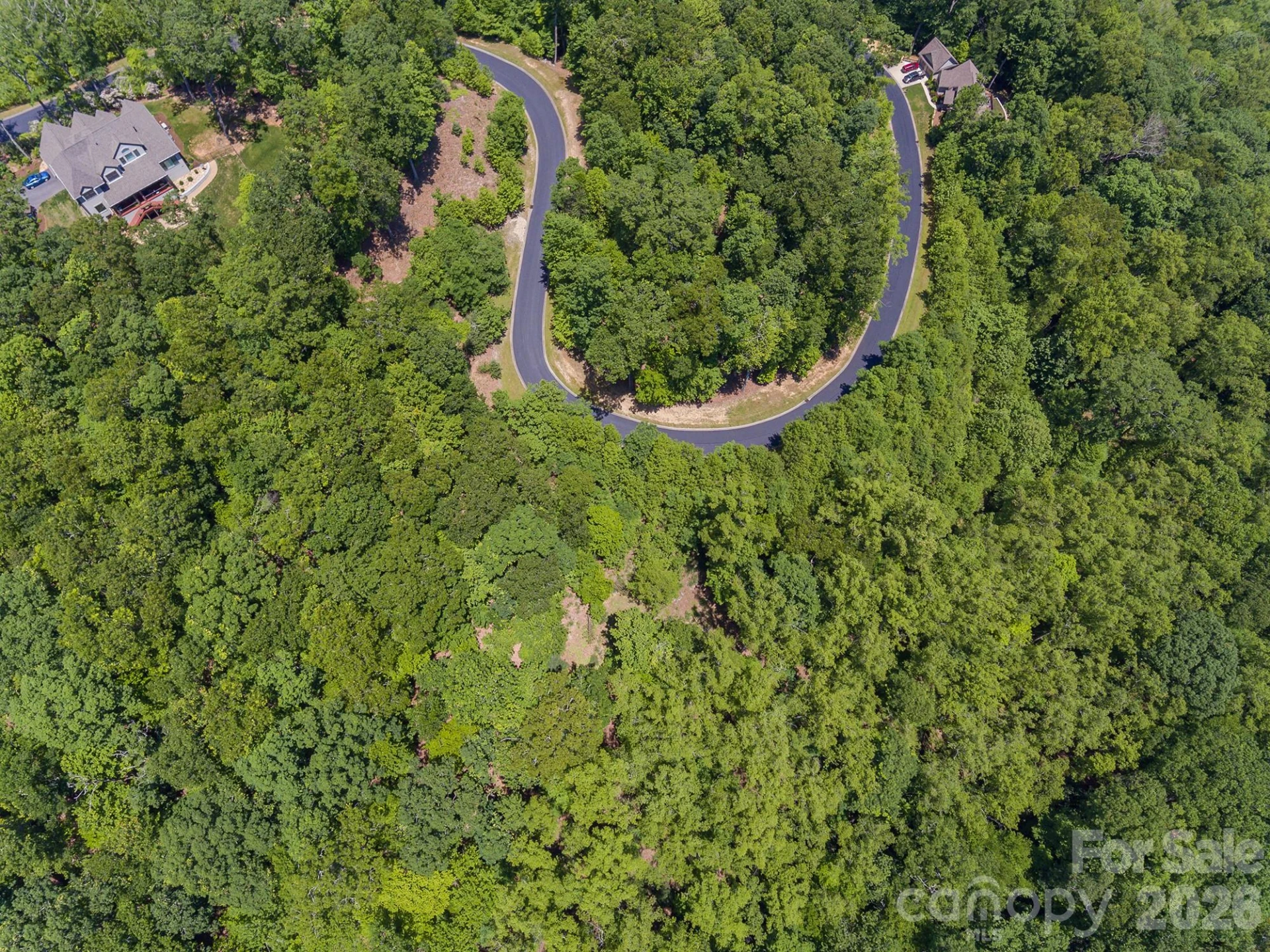 lot 53R Mills River Way #Lot 53R - Photo 14