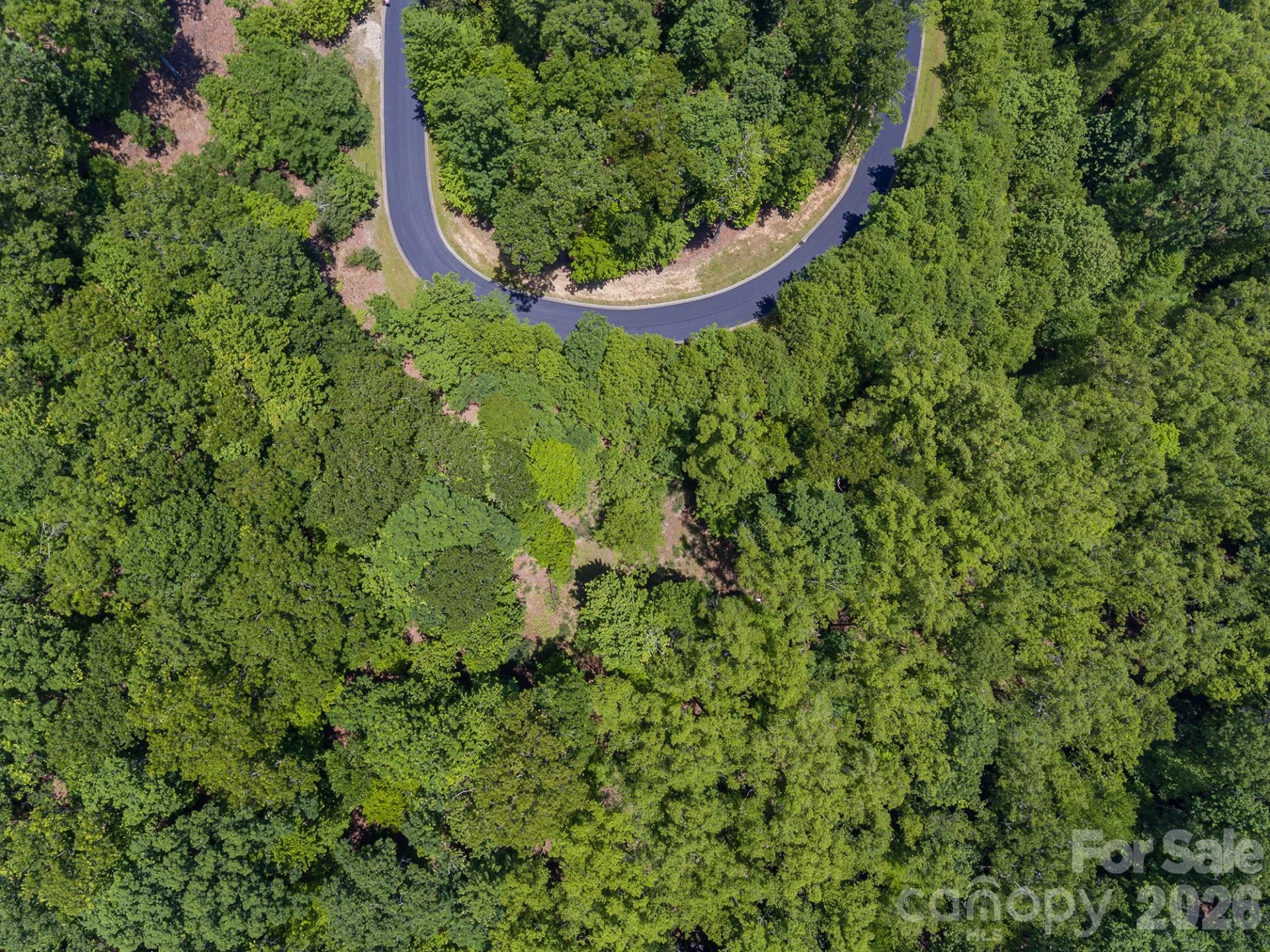 lot 53R Mills River Way #Lot 53R - Photo 15