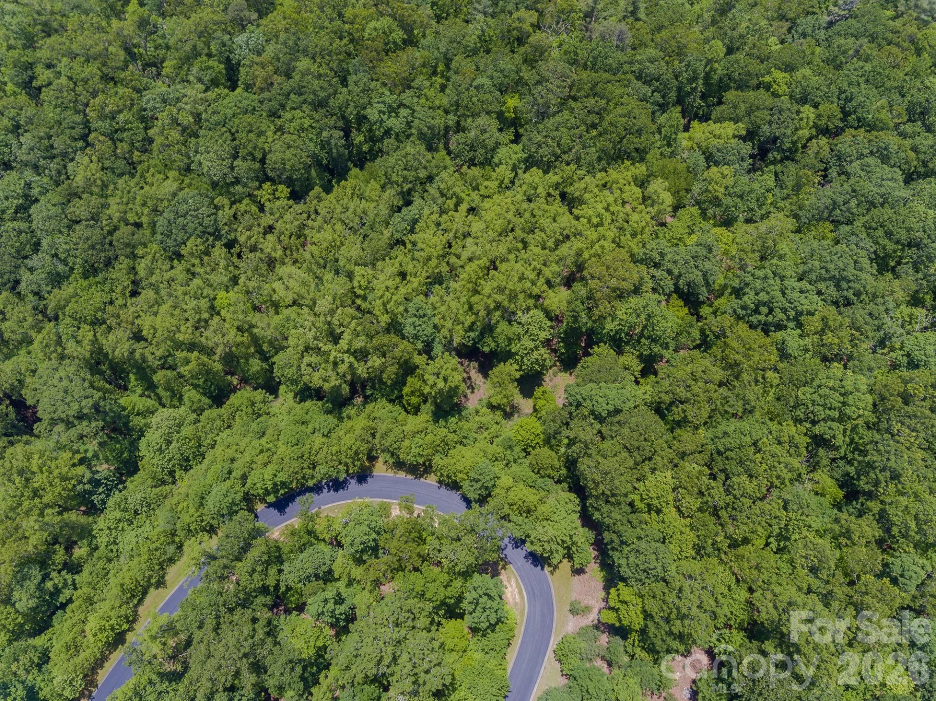 lot 53R Mills River Way #Lot 53R - Photo 16