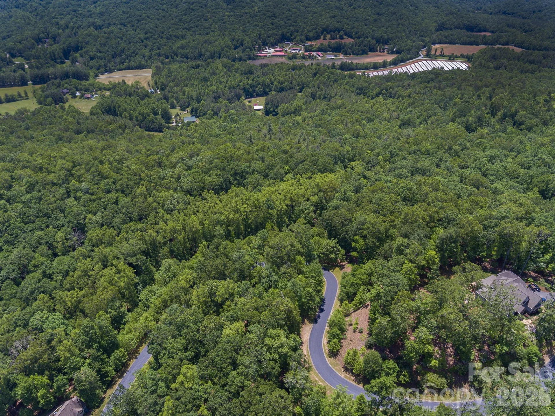 lot 53R Mills River Way #Lot 53R - Photo 17