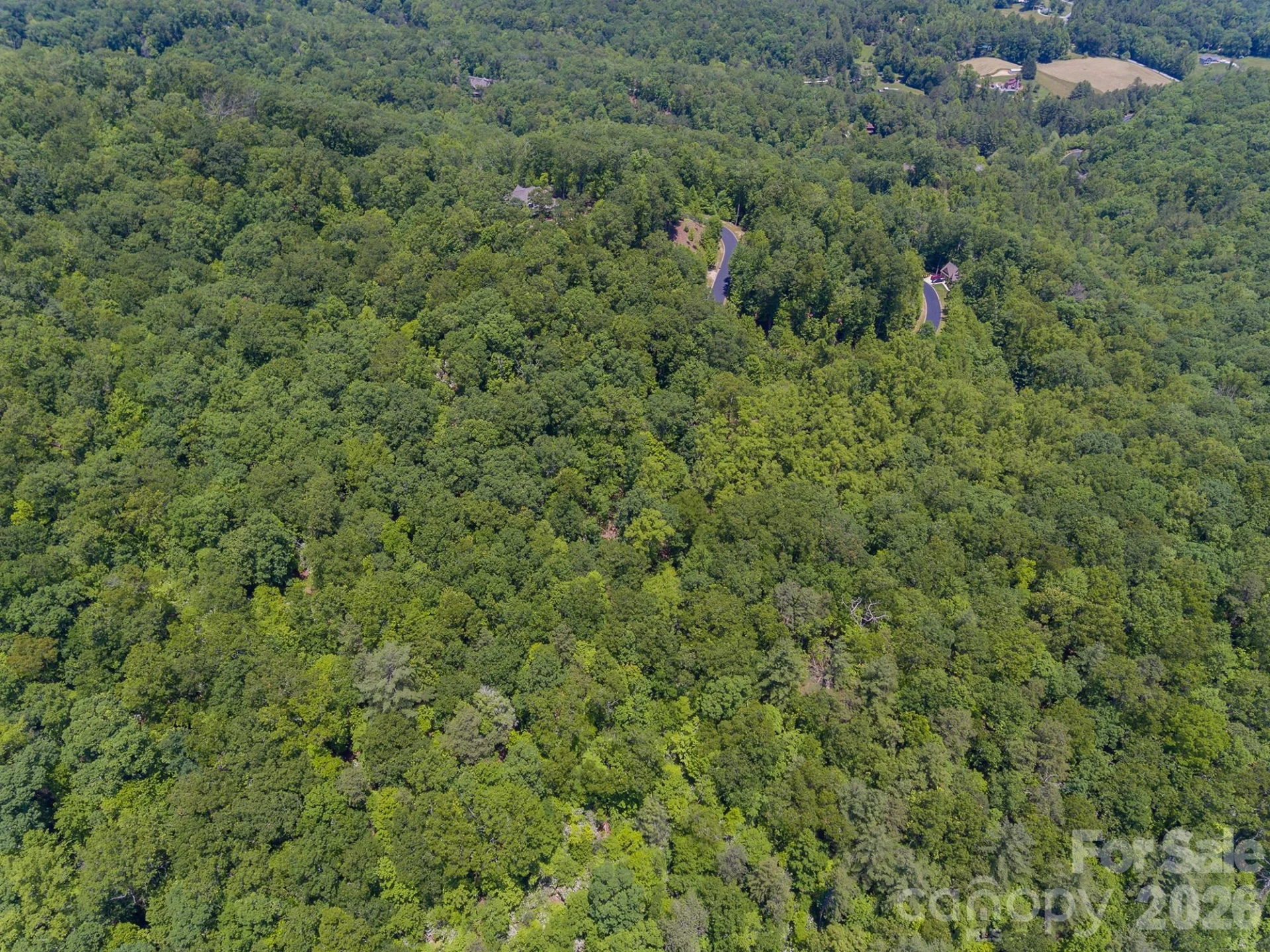 lot 53R Mills River Way #Lot 53R - Photo 18