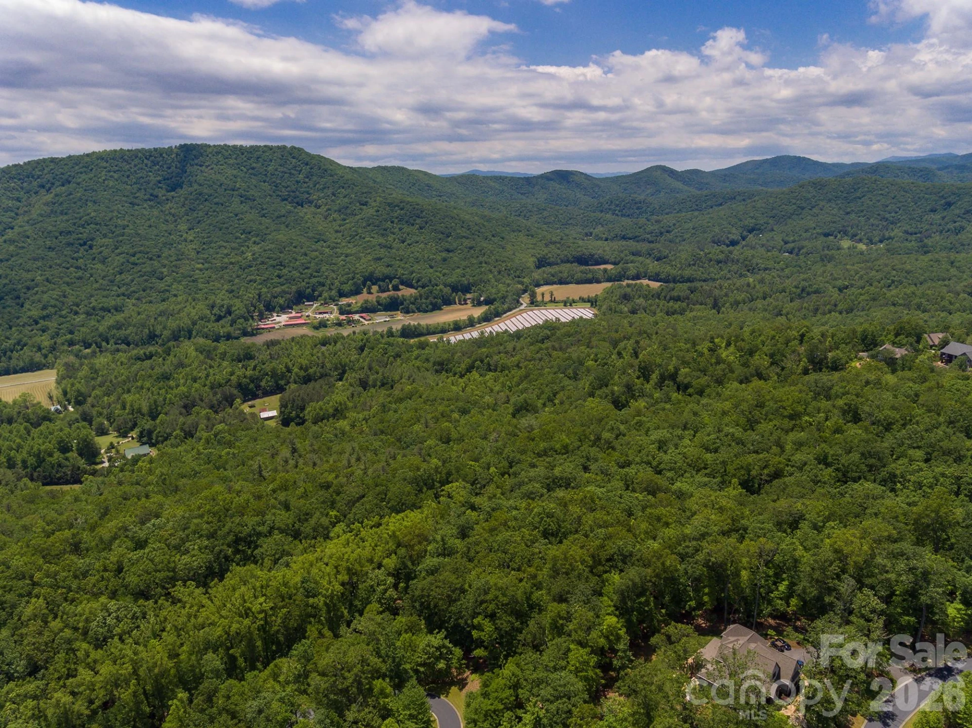 lot 53R Mills River Way #Lot 53R - Photo 21