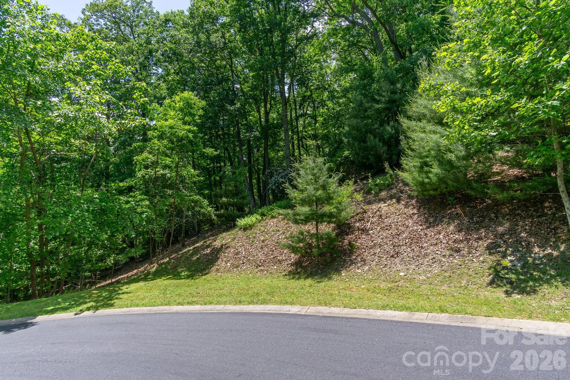 lot 53R Mills River Way #Lot 53R - Photo 26