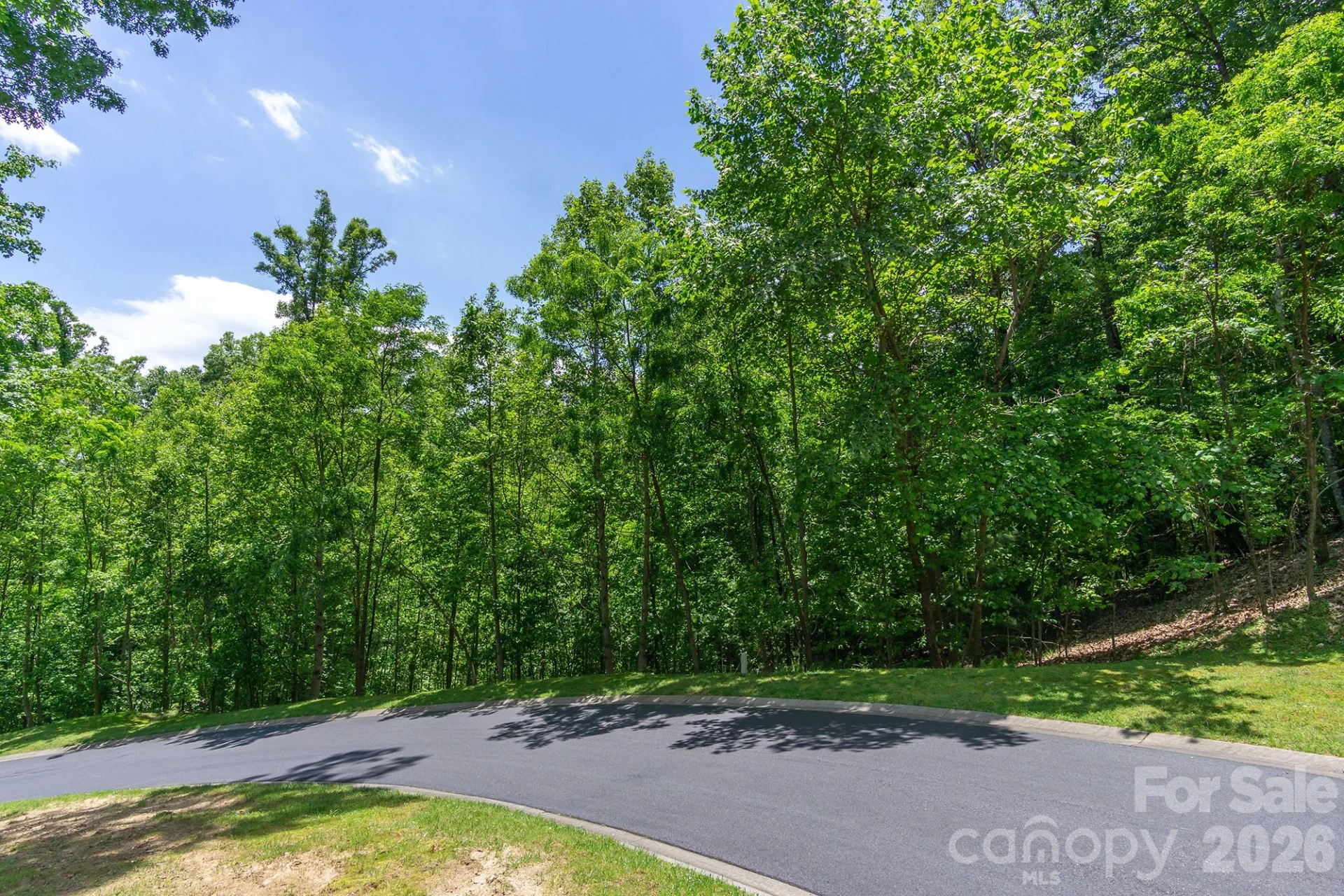 lot 53R Mills River Way #Lot 53R - Photo 27