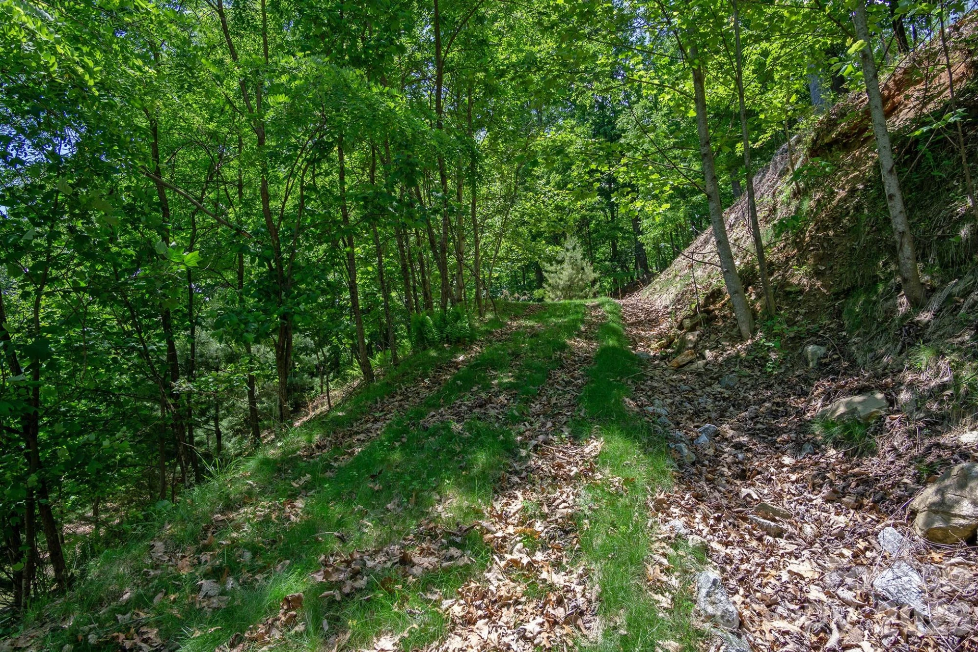 lot 53R Mills River Way #Lot 53R - Photo 28
