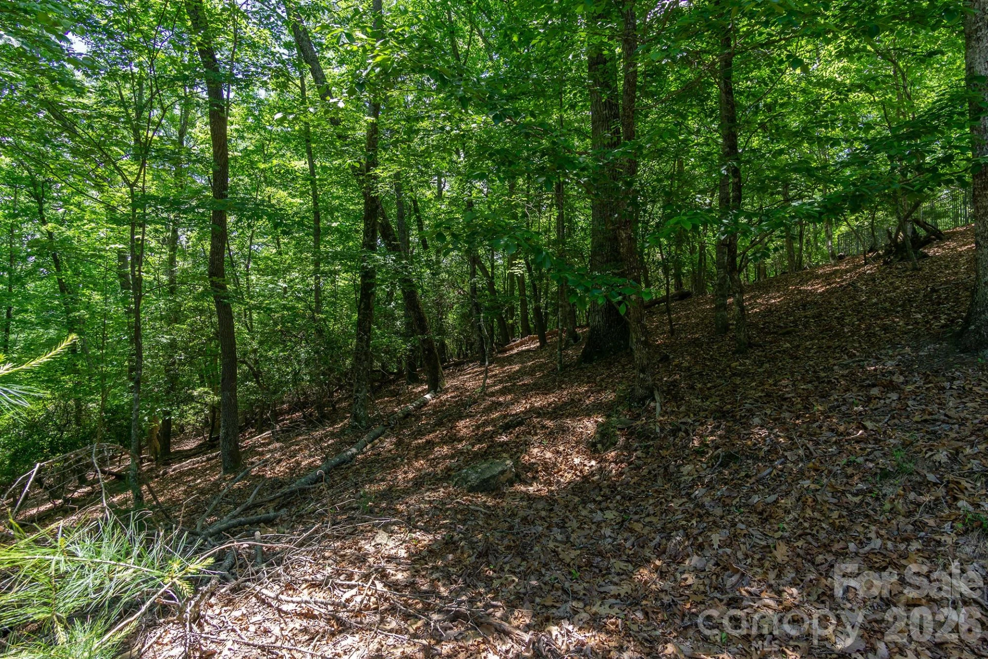 lot 53R Mills River Way #Lot 53R - Photo 29