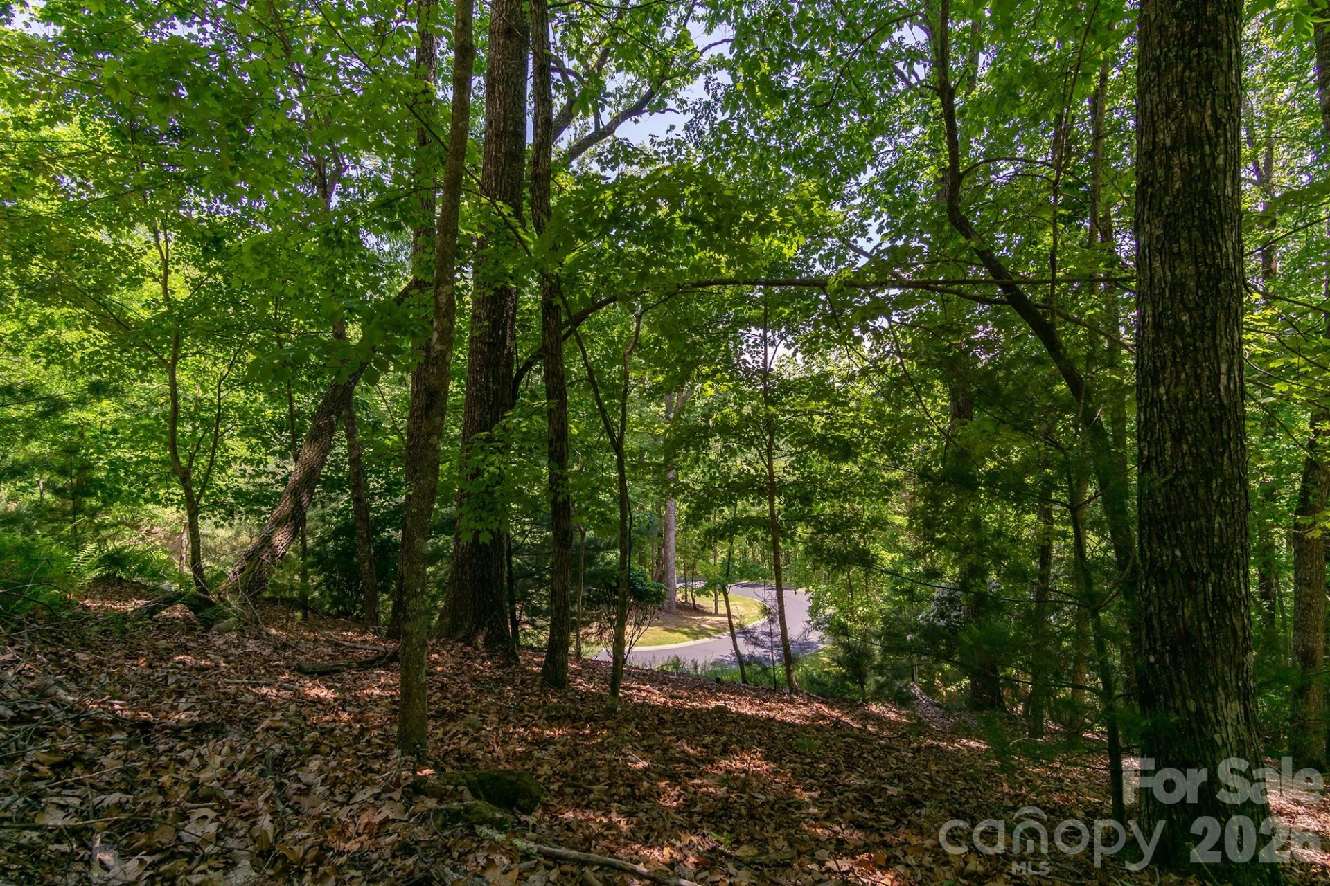 lot 53R Mills River Way #Lot 53R - Photo 30