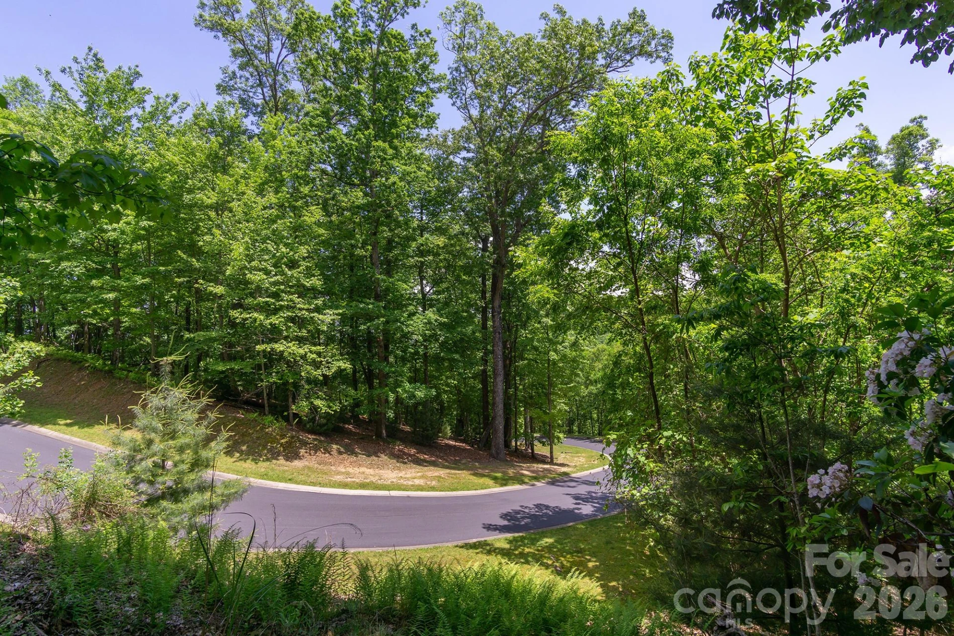lot 53R Mills River Way #Lot 53R - Photo 31