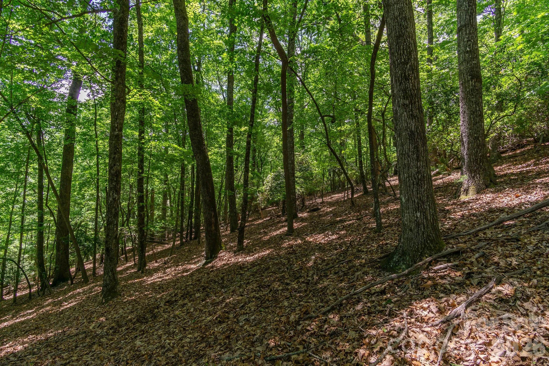 lot 53R Mills River Way #Lot 53R - Photo 32