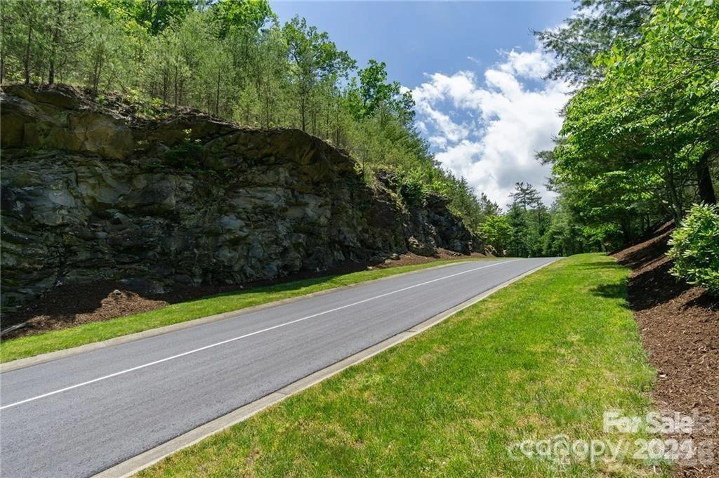 lot 53R Mills River Way #Lot 53R - Photo 6
