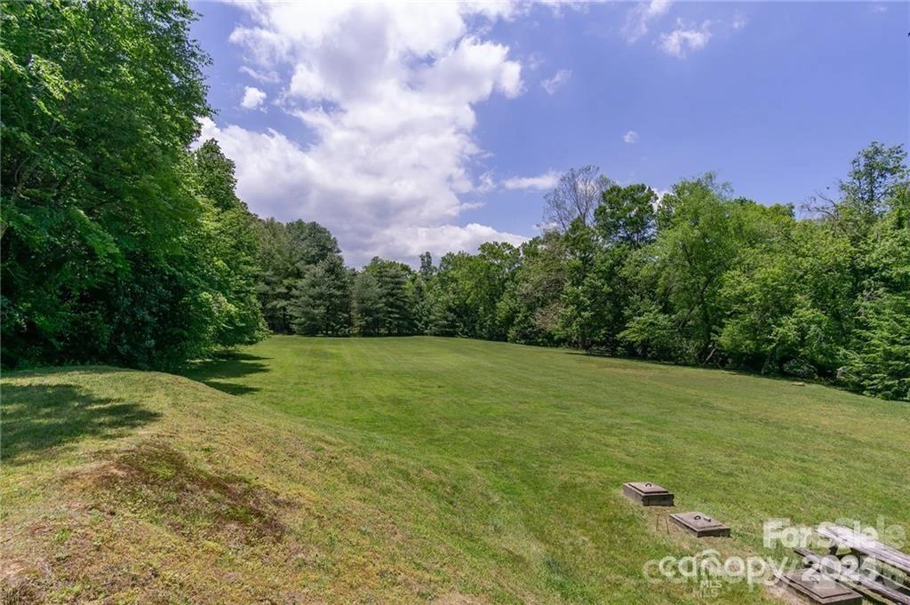 lot 53R Mills River Way #Lot 53R - Photo 8