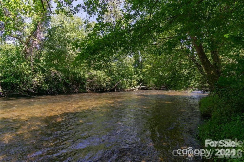 lot 53R Mills River Way #Lot 53R - Photo 9
