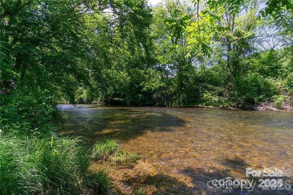 lot 53R Mills River Way #Lot 53R - Photo 10