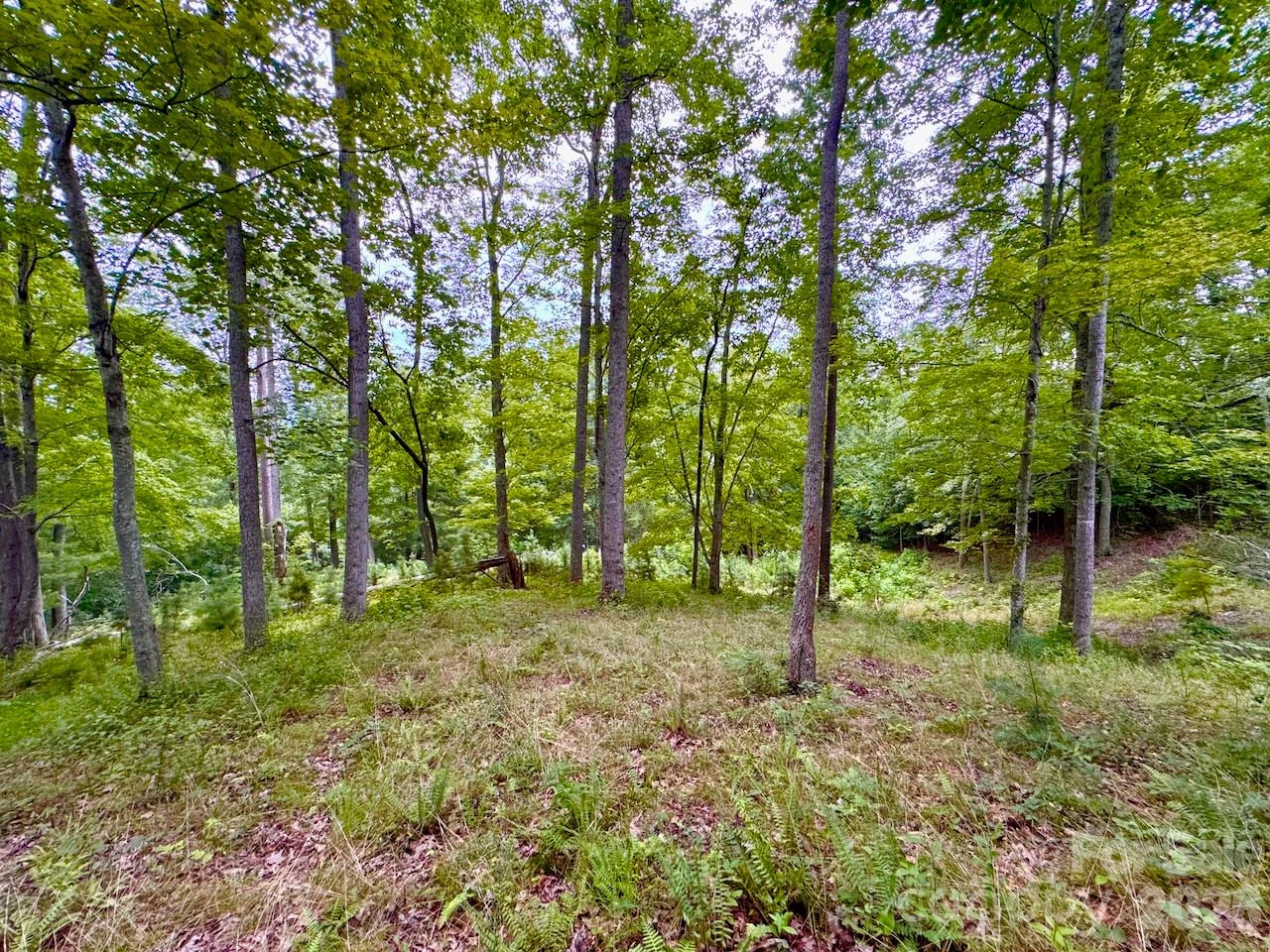 120 Ben Lippen School Road - Photo 7