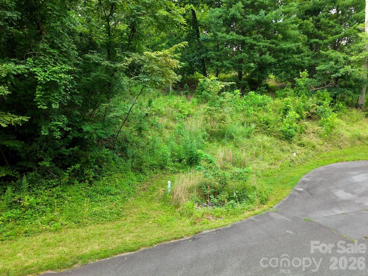 120 Ben Lippen School Road - Photo 20