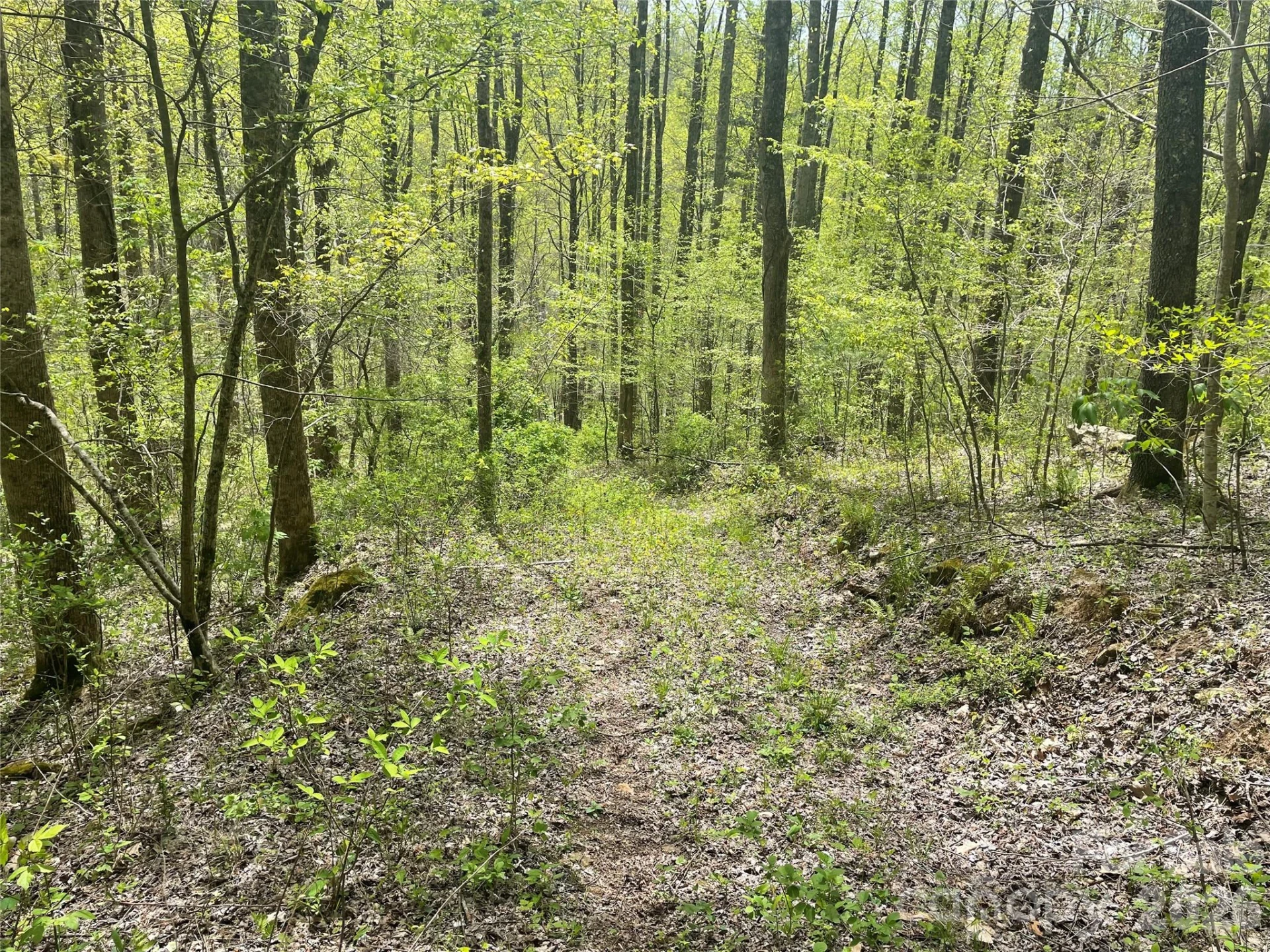 99999 Martins Creek Road - Photo 2
