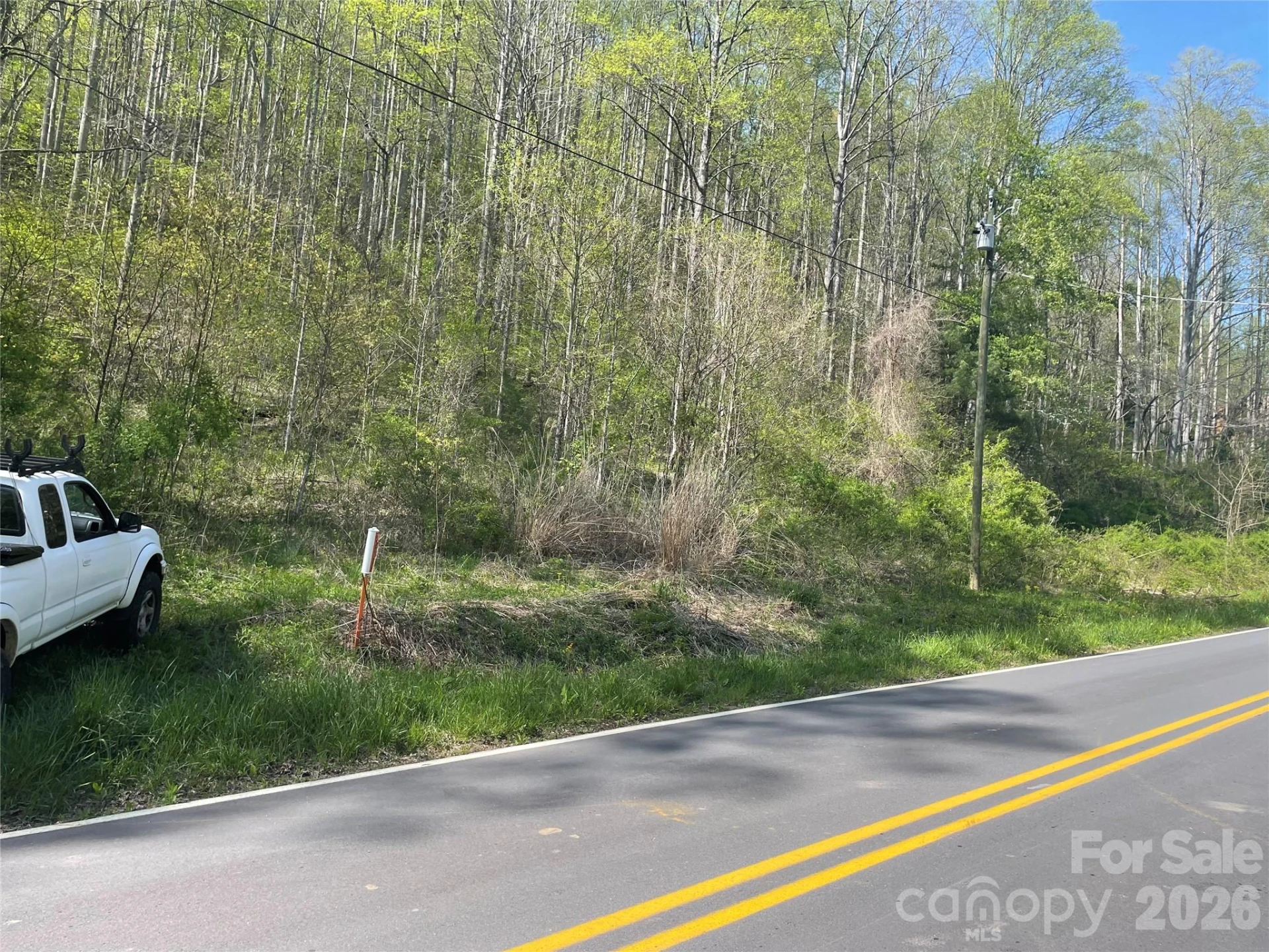 99999 Martins Creek Road - Photo 11