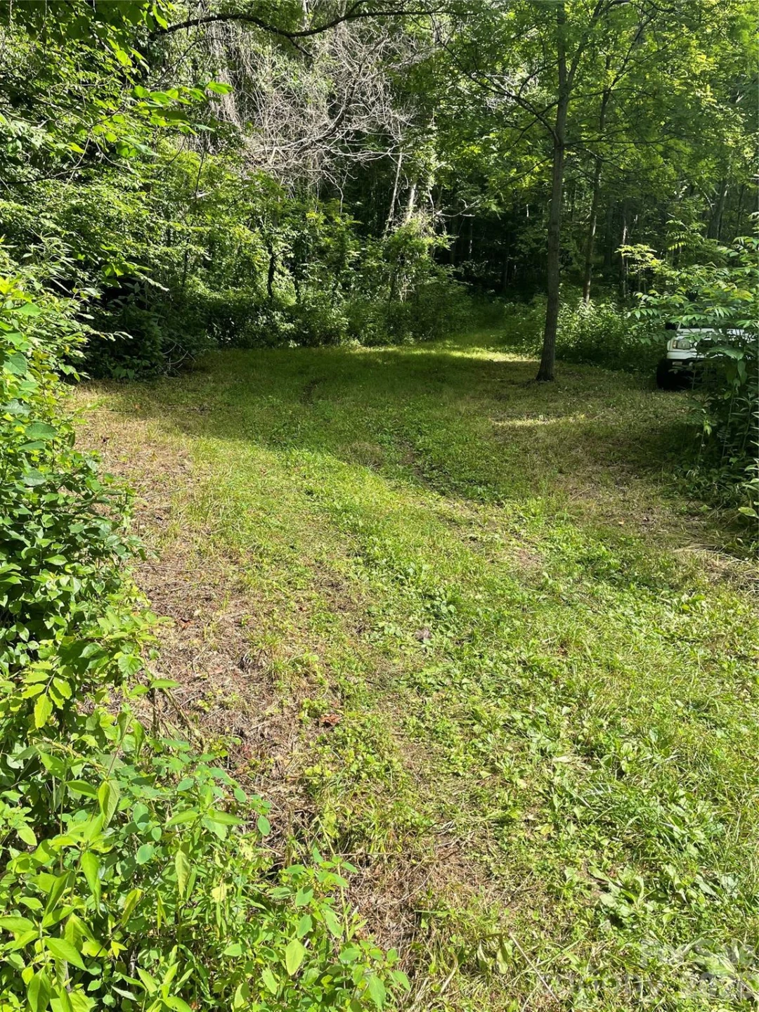 99999 Martins Creek Road - Photo 12