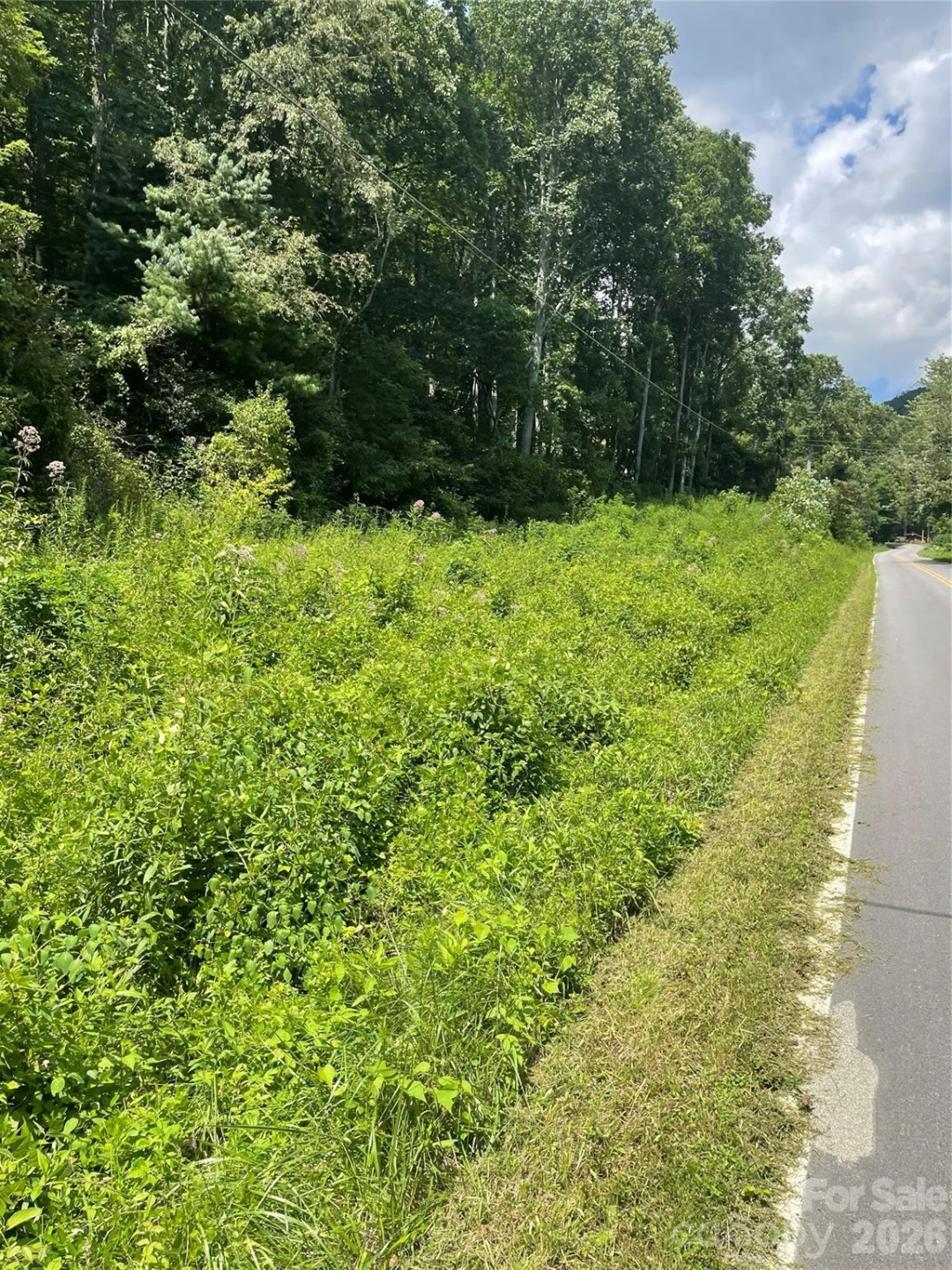 99999 Martins Creek Road - Photo 15
