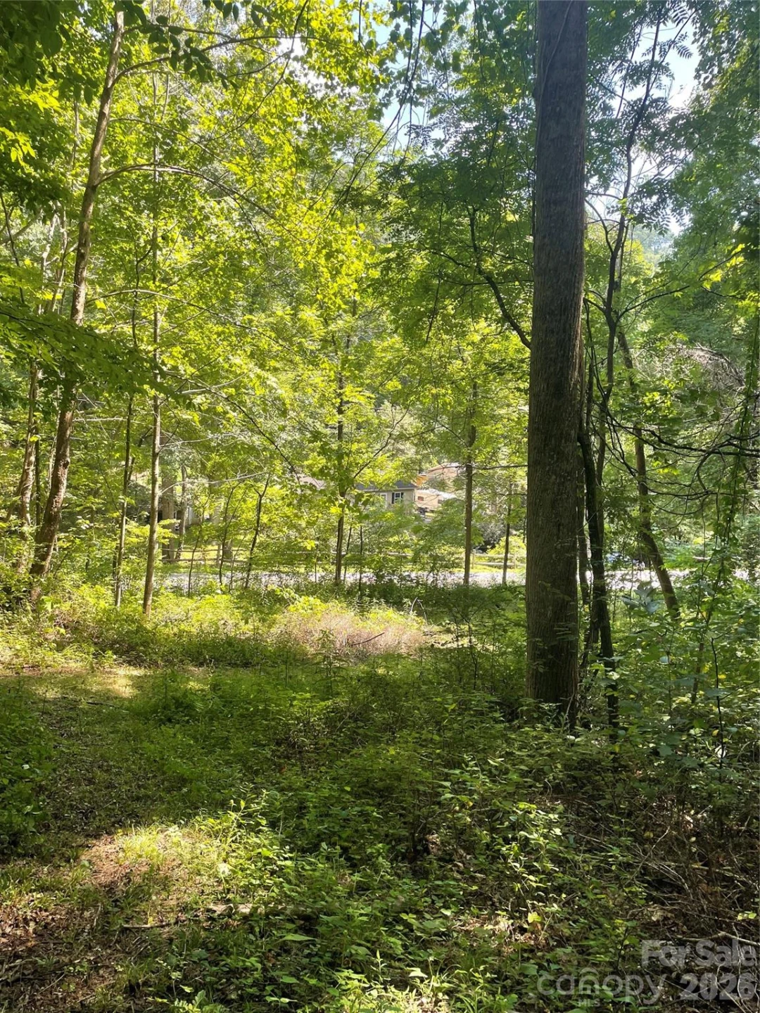 99999 Martins Creek Road - Photo 16