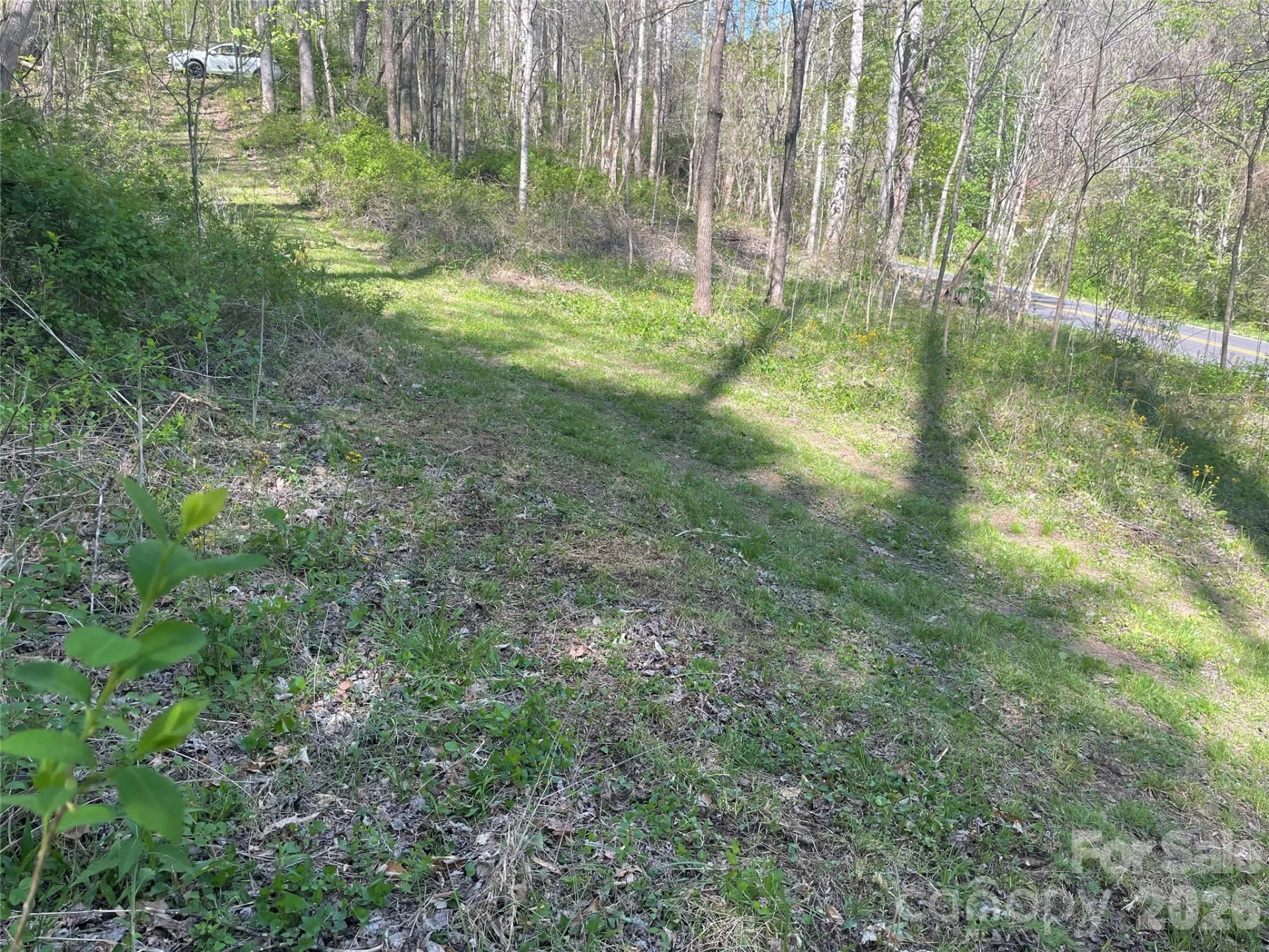 99999 Martins Creek Road - Photo 4