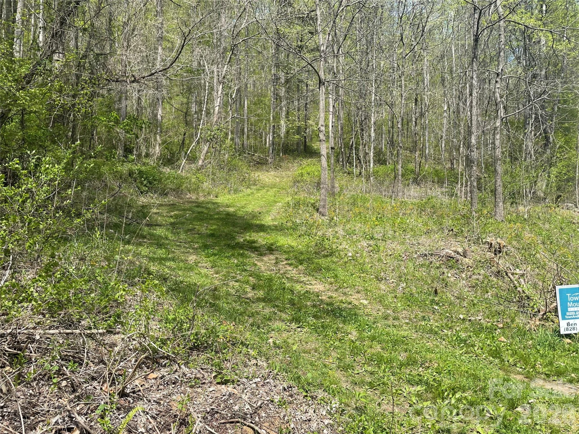 99999 Martins Creek Road - Photo 5