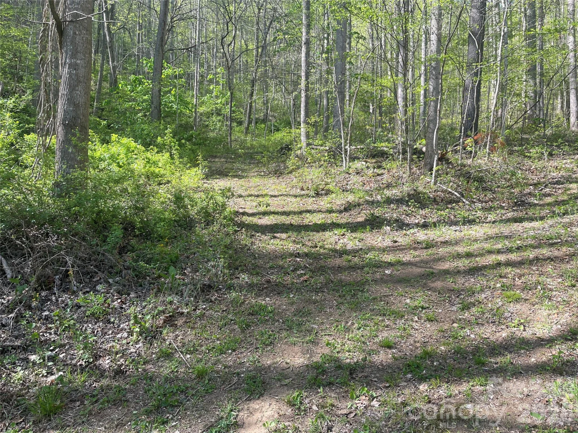 99999 Martins Creek Road - Photo 6