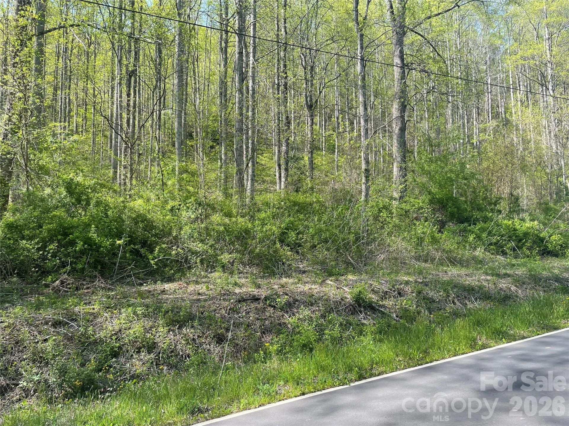 99999 Martins Creek Road - Photo 7