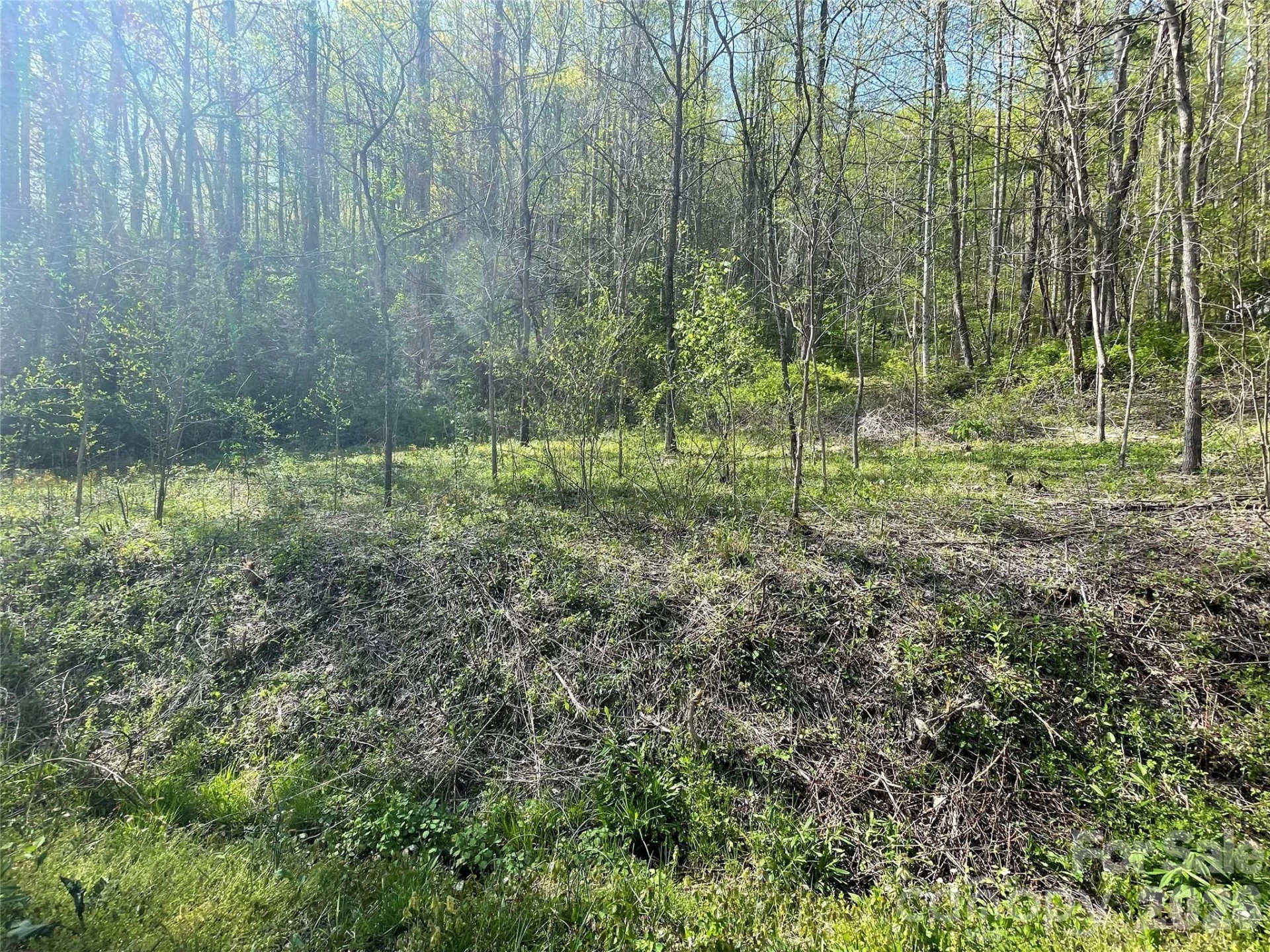99999 Martins Creek Road - Photo 9