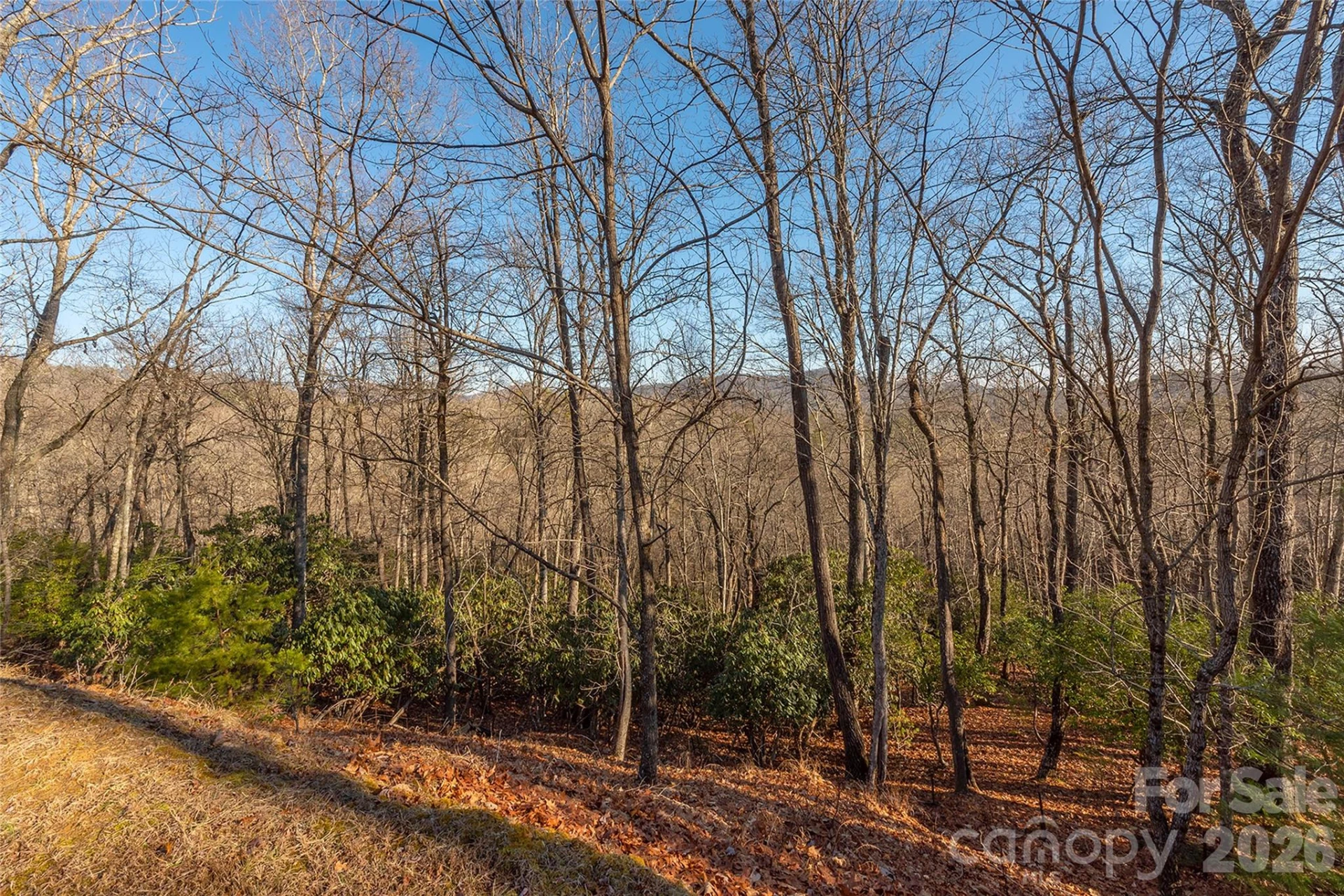 80 Buckhead Trail #27 - Photo 4