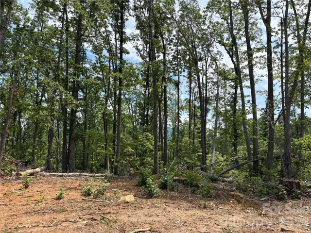 TBD Early Road, Saluda, NC, 28773