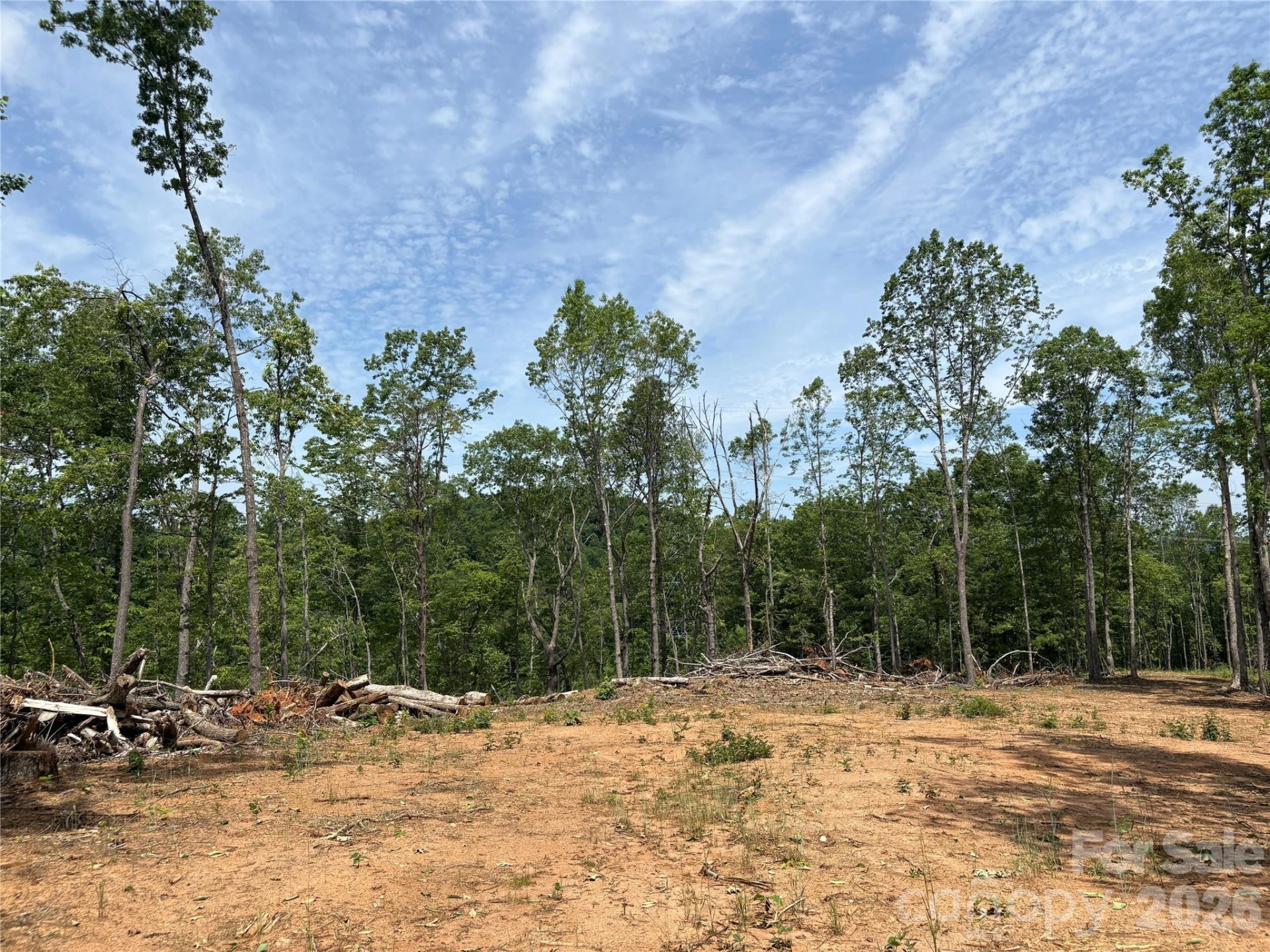 TBD Early Road - Photo 5