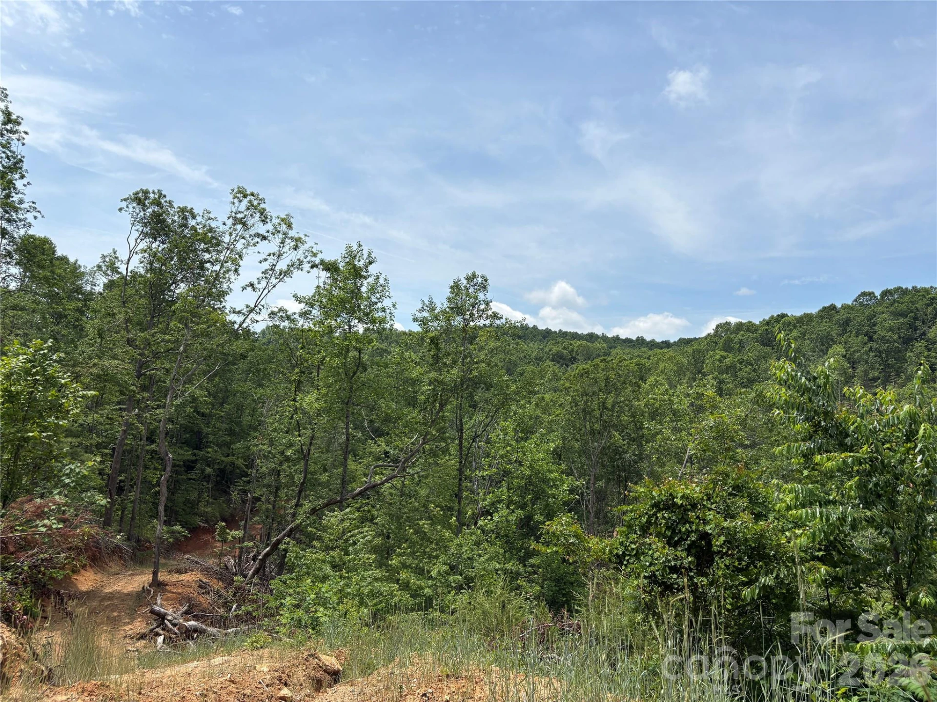 TBD Early Road - Photo 12