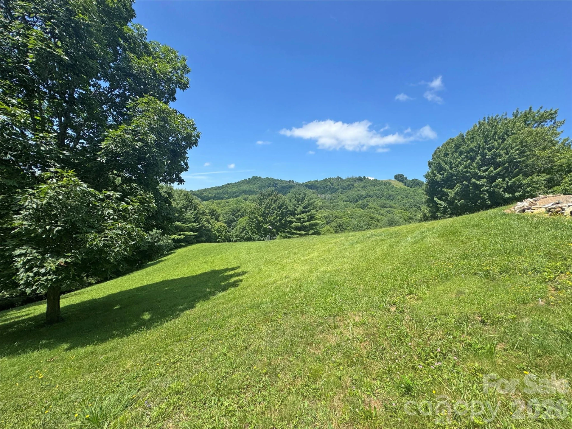299 Basswood Road - Photo 3