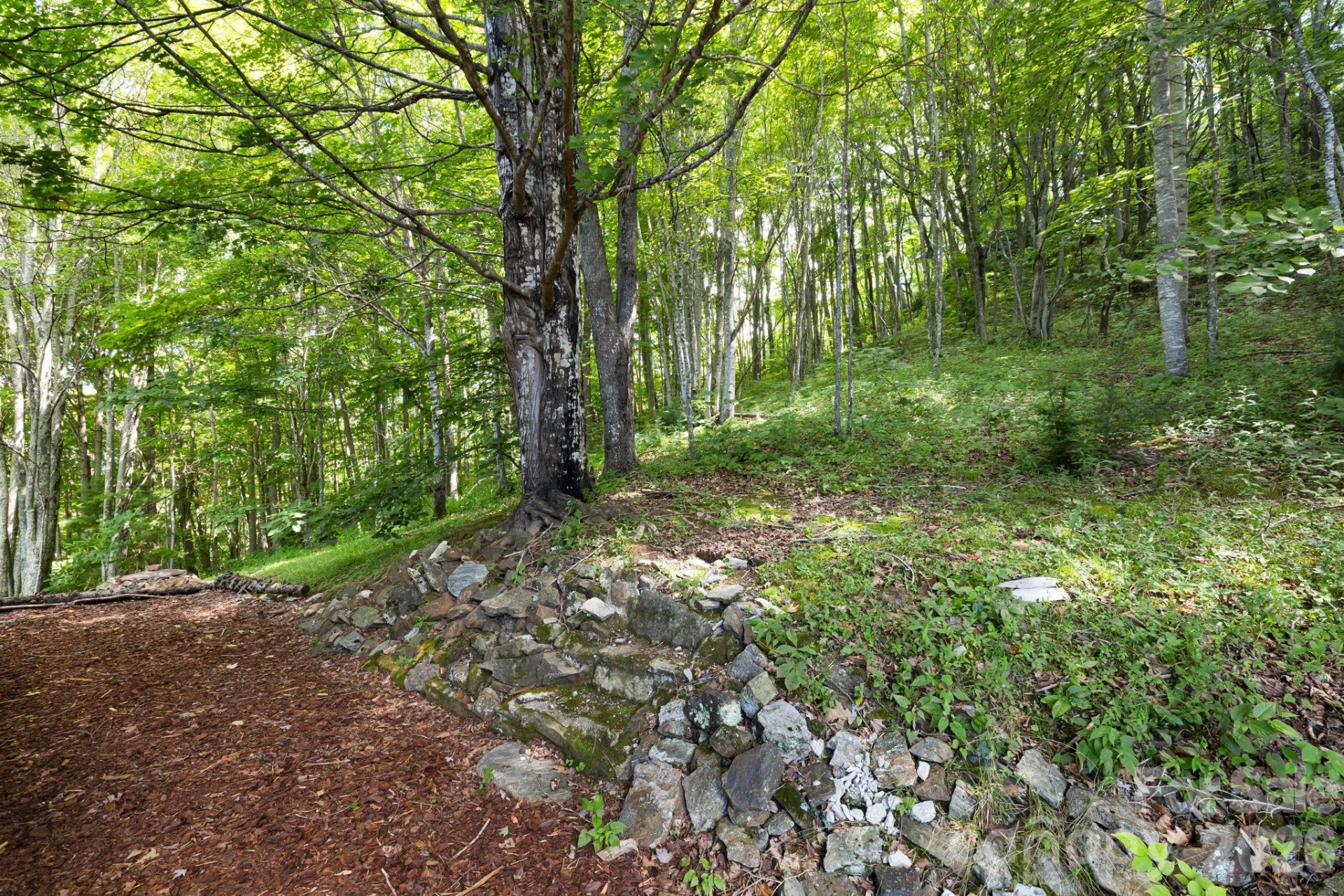 299 Basswood Road - Photo 35