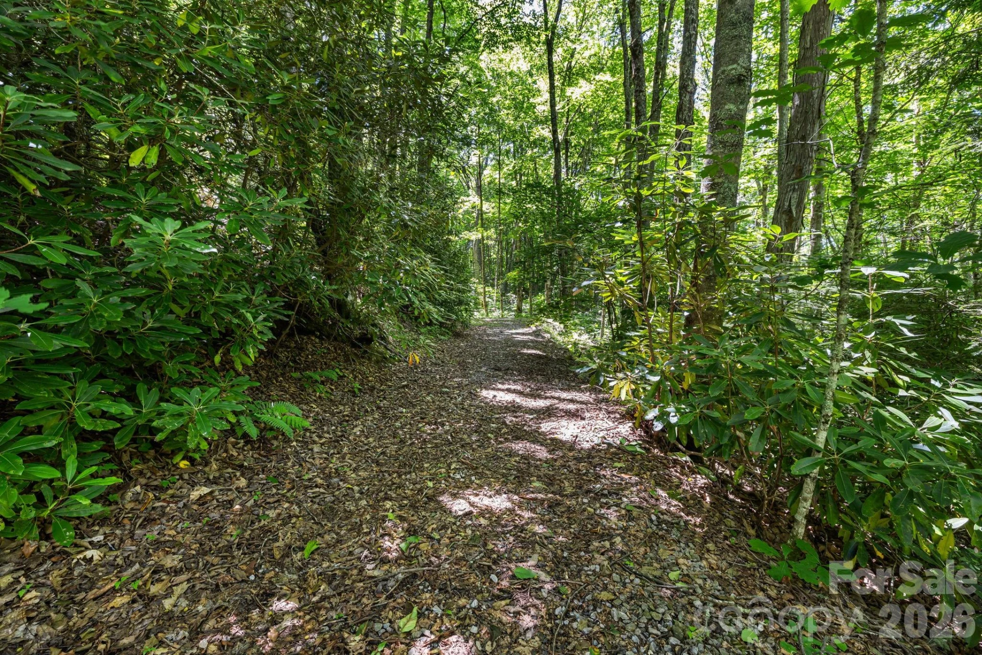 299 Basswood Road - Photo 39