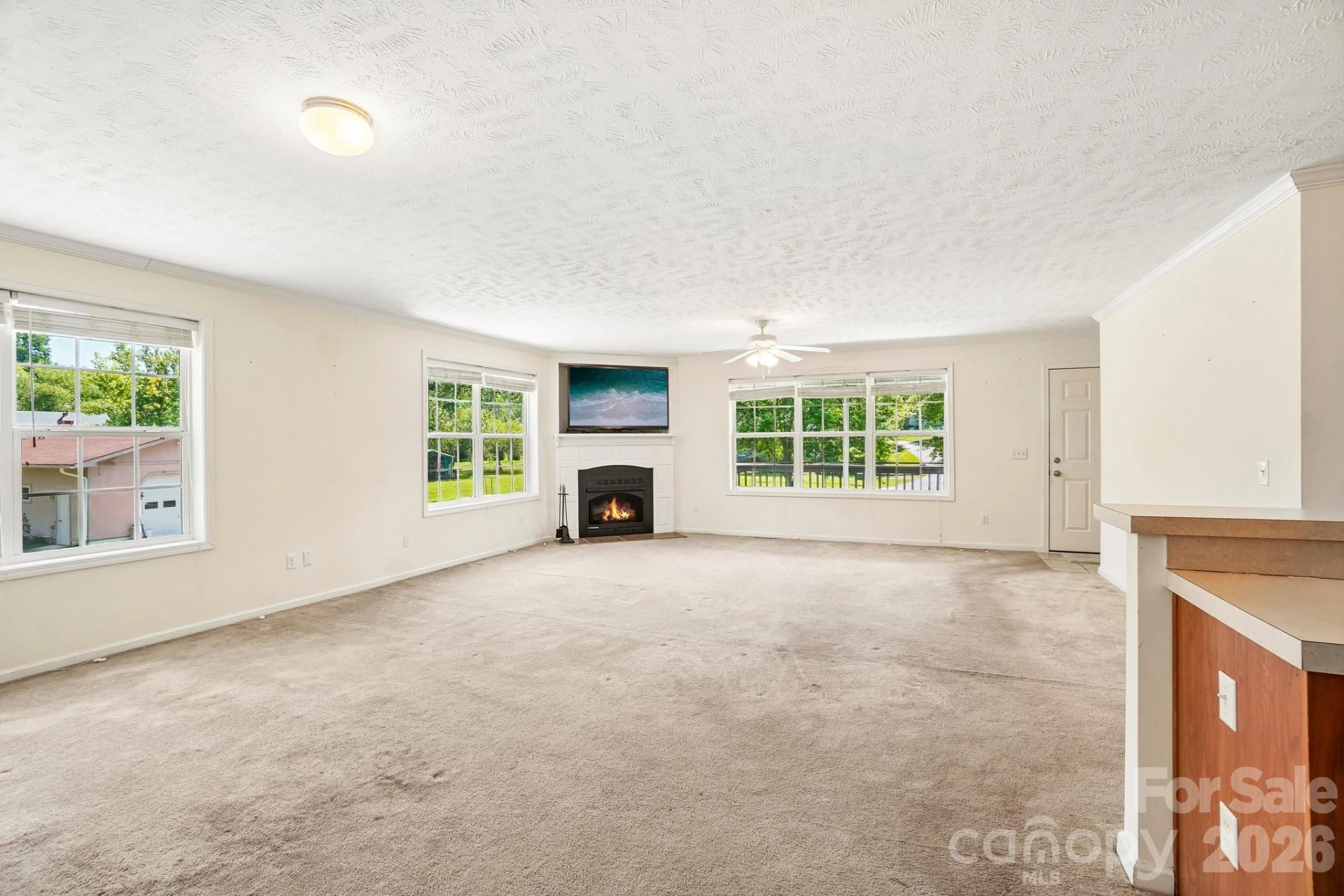 119 E Meadow Lane - Photo 11