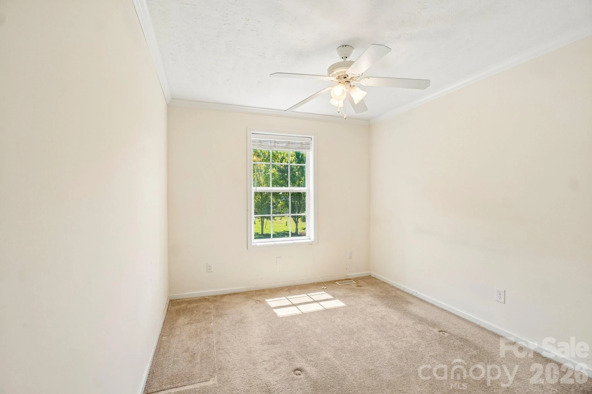 119 E Meadow Lane - Photo 23