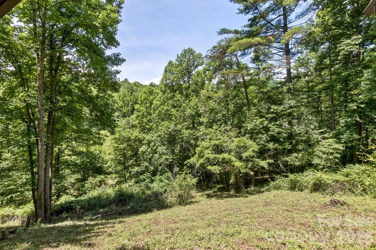 104 Pokeberry Lane #3A - Photo 35