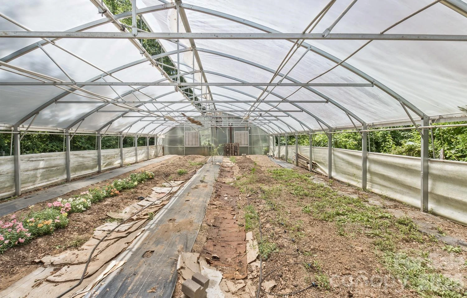 104 Pokeberry Lane #3A - Photo 38