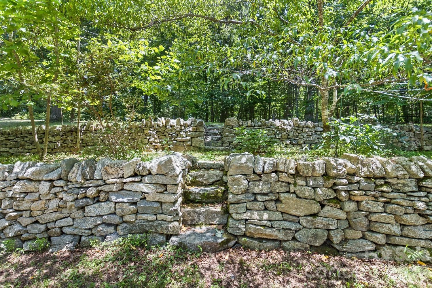 104 Pokeberry Lane #3A - Photo 7