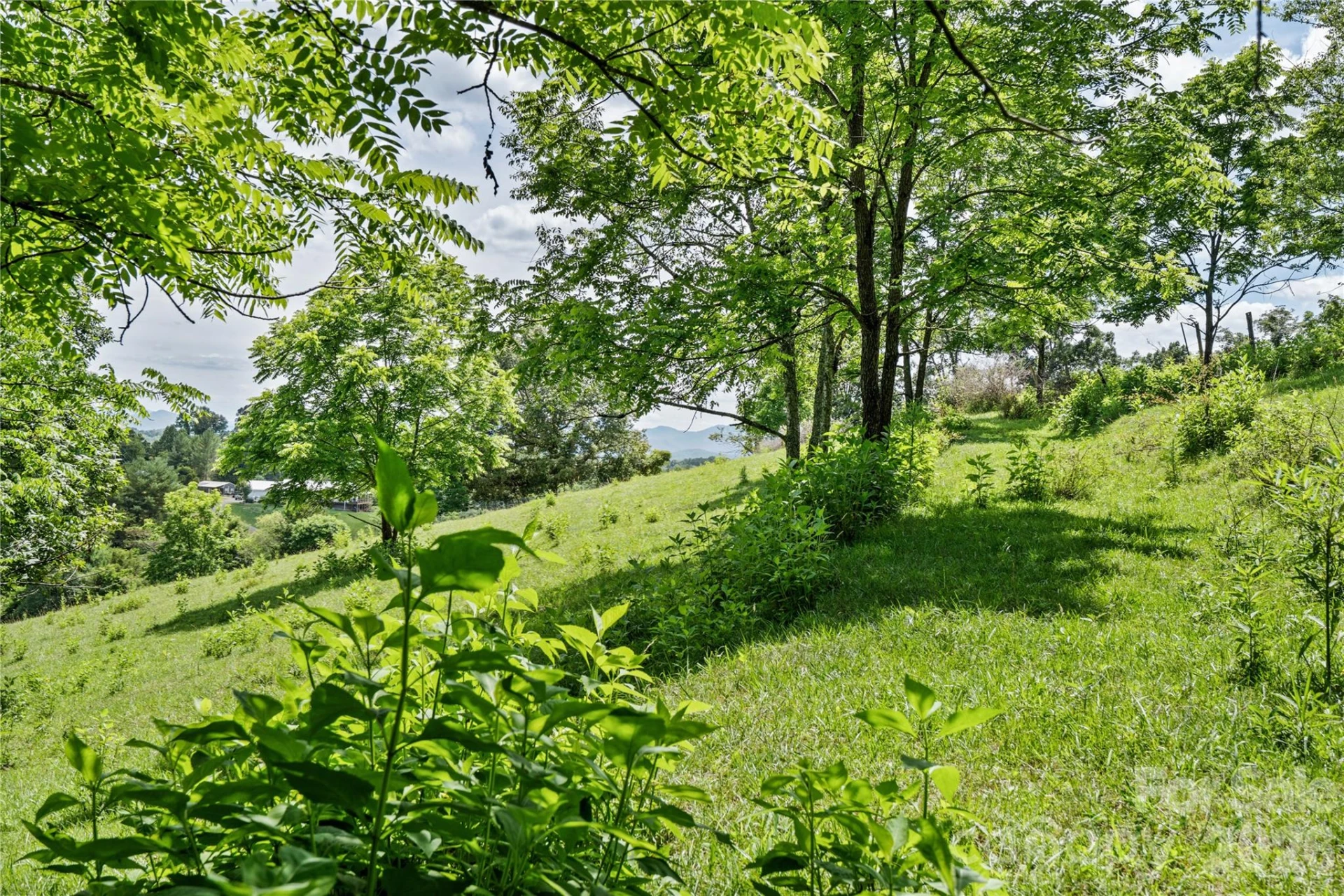 737 Tillery Branch Road - Photo 20